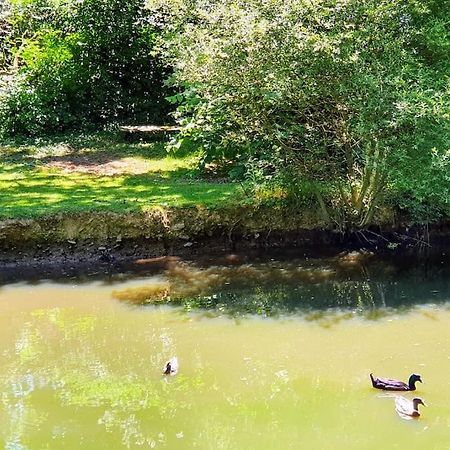Tout Le Confort Au Milieu D'Un Parc Botanique Noyal-Muzillac Kültér fotó