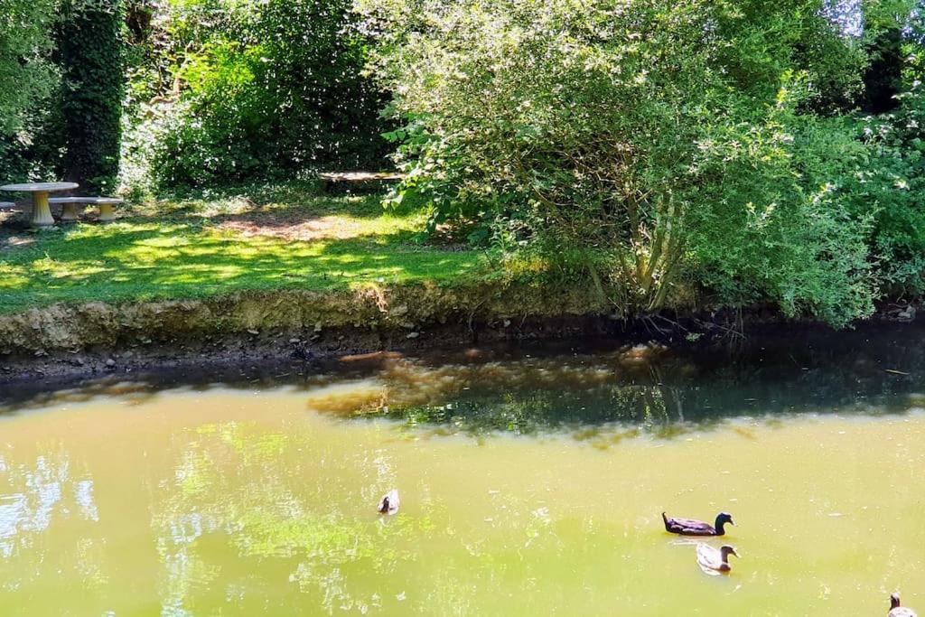 Tout Le Confort Au Milieu D'Un Parc Botanique Noyal-Muzillac Kültér fotó